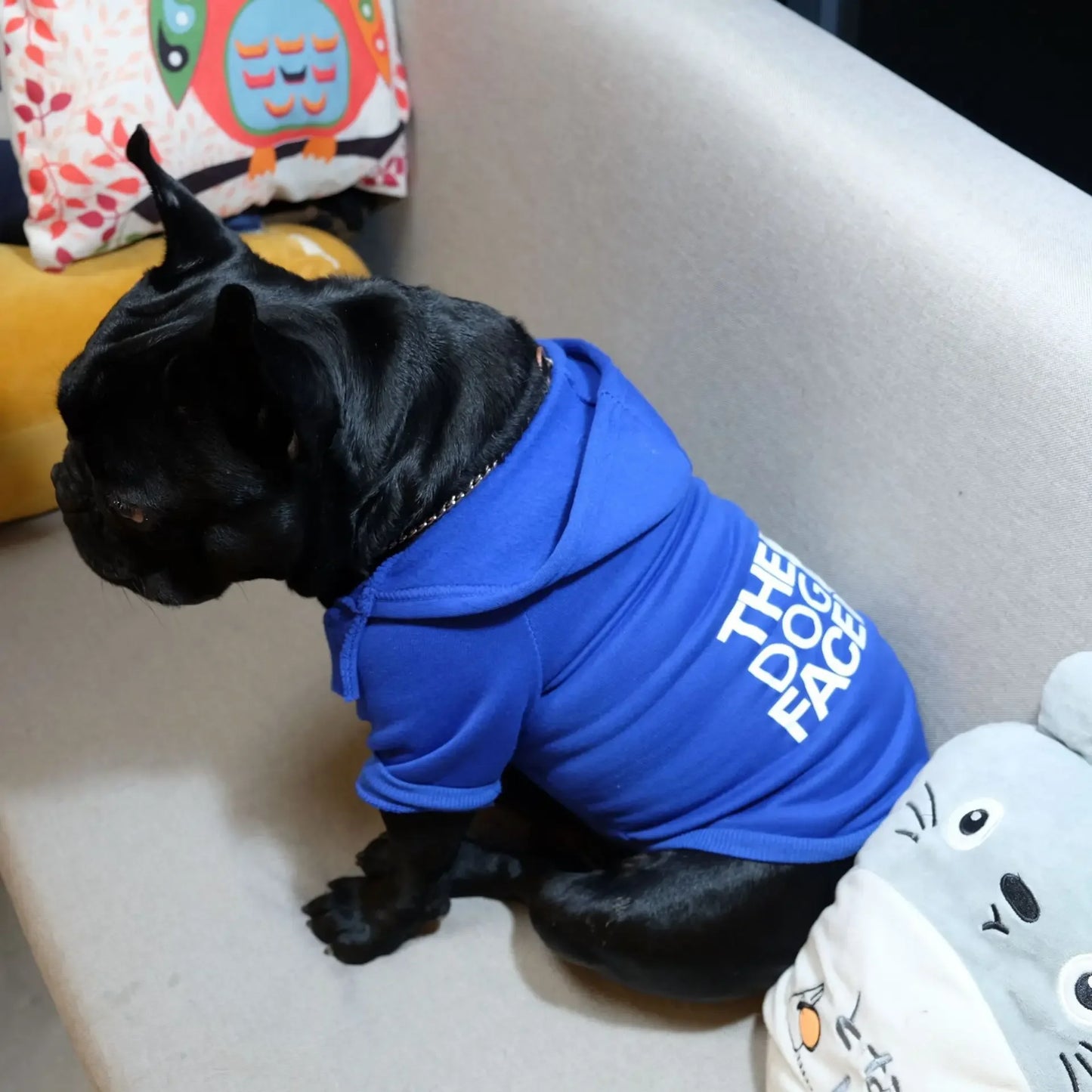 Dog Hoodie Sweatshirt - Warm & Comfy for all Dog sizes