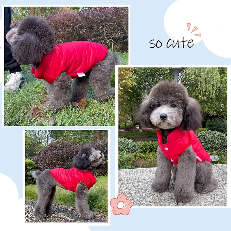 Winter Dog Vest for Small to Medium size dogs - Soft and Warm Vest for Small & Medium size dogs